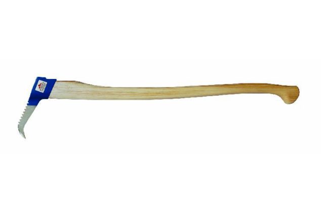 Sappel
