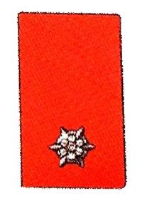 Kragenspiegel Feuerwehrmann