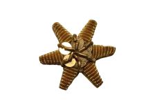 Sternrosette gold