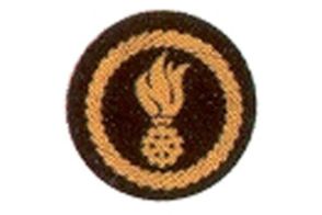 Funktionsabzeichen Feuerwehrkommandant