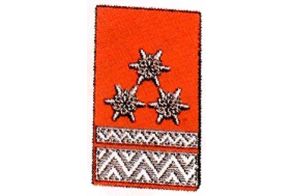Kragenspiegel Hauptbrandmeister