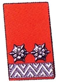 Kragenspiegel Oberlöschmeister