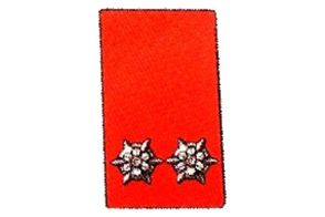 Kragenspiegel Oberfeuerwehrmann