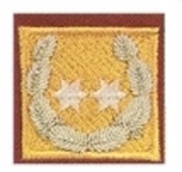 Landesbranddirektor